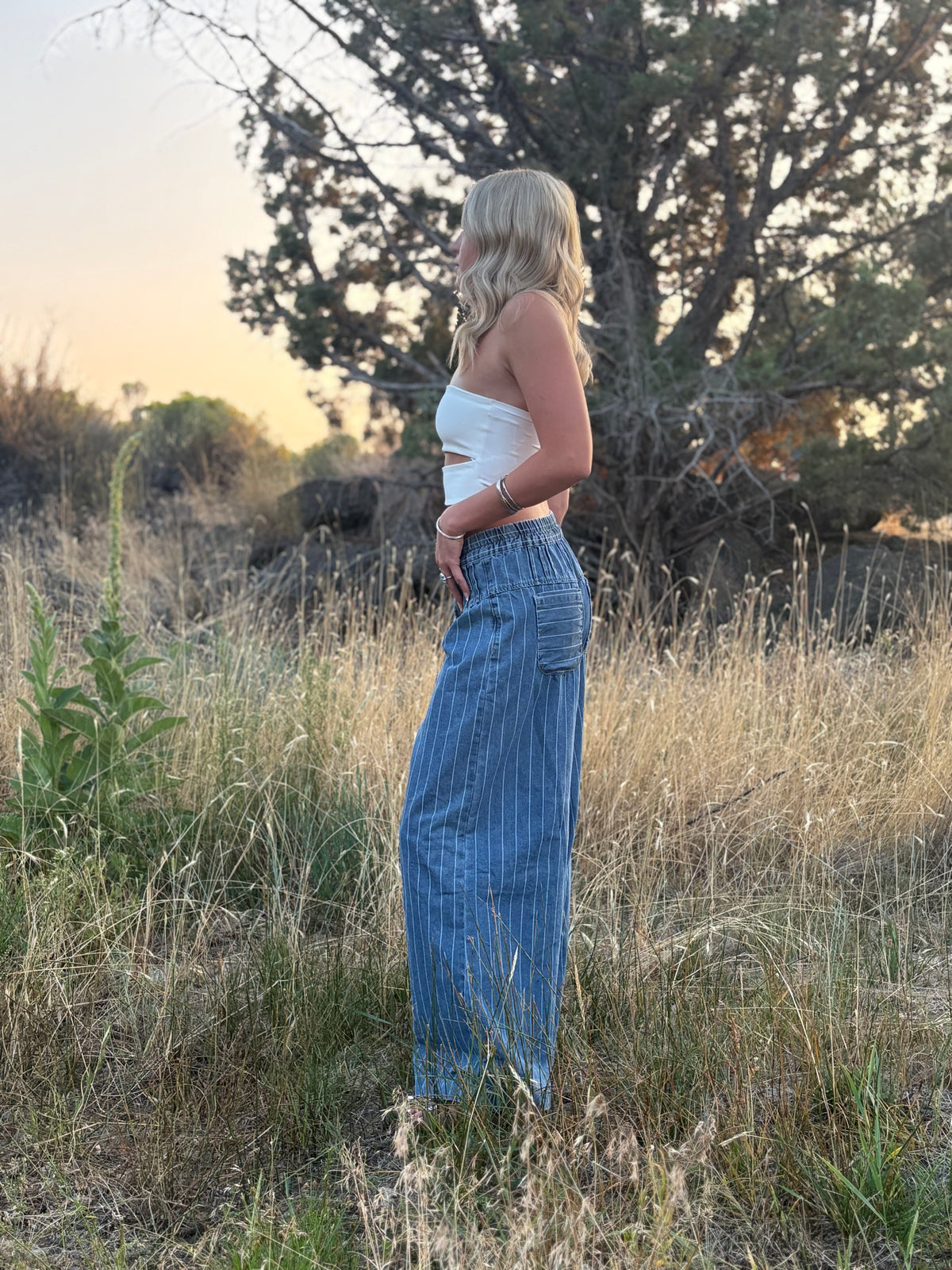 Breakaway Wide Leg Jeans