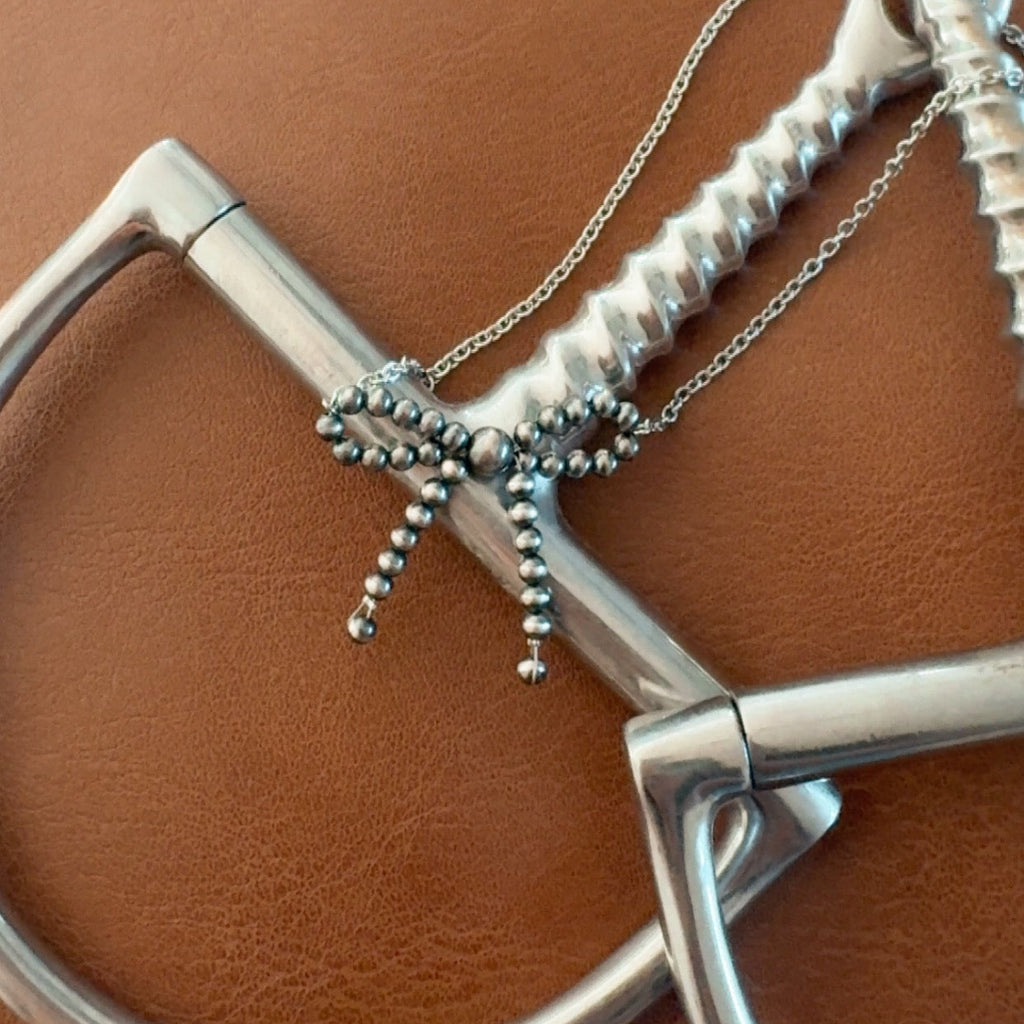 The Navajo Bow